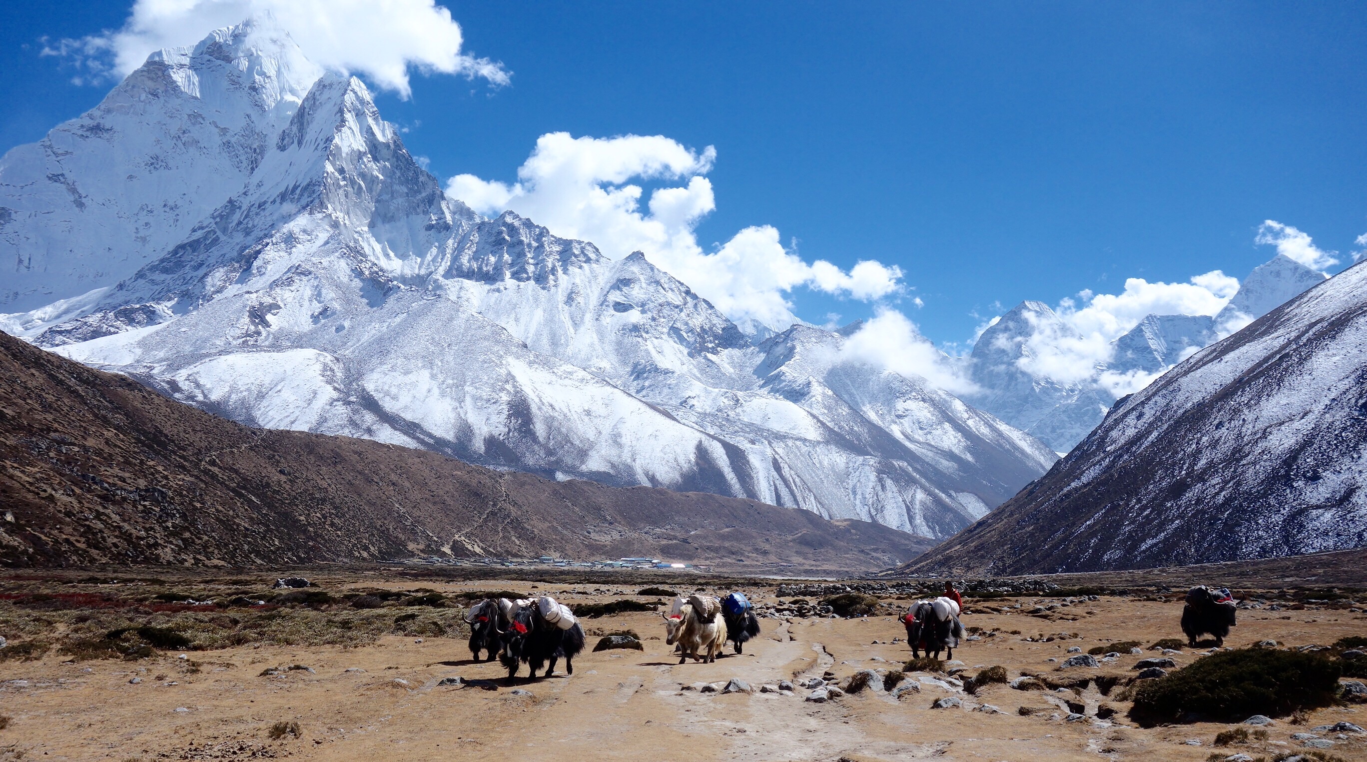 Pheriche - Well Nepal Treks