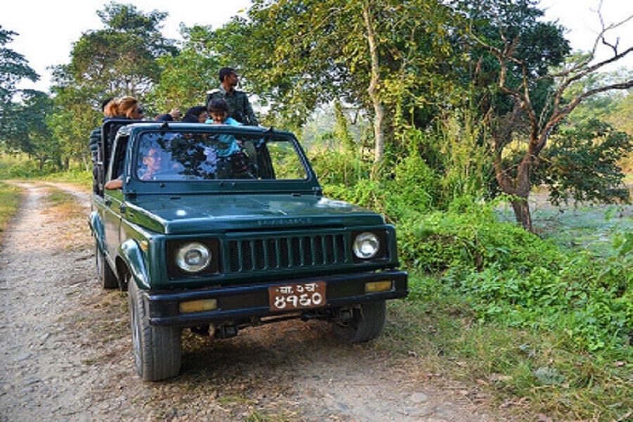 simlipal national park jeep safari cost